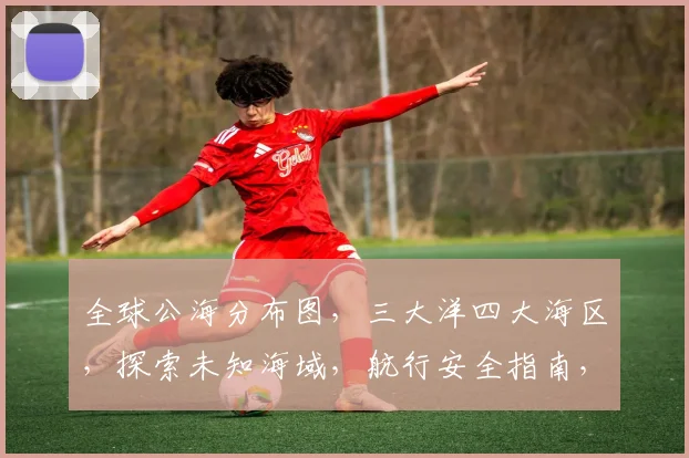 全球公海分布图，三大洋四大海区，探索未知海域，航行安全指南，航标指引。