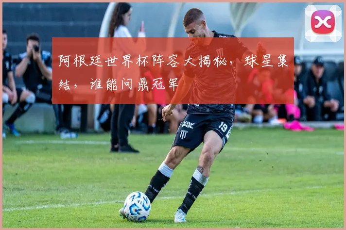 阿根廷世界杯阵容大揭秘，球星集结，谁能问鼎冠军