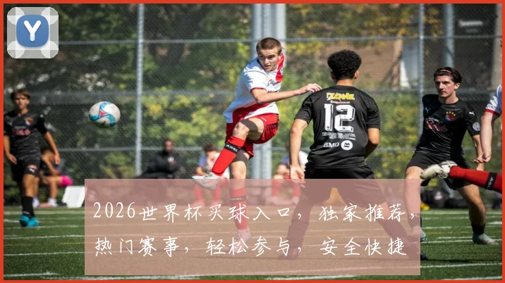 2026世界杯买球入口，独家推荐，热门赛事，轻松参与，安全快捷