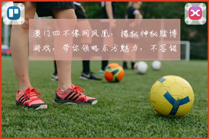 澳门四不像网凤凰，揭秘神秘赌博游戏，带你领略东方魅力，不容错过