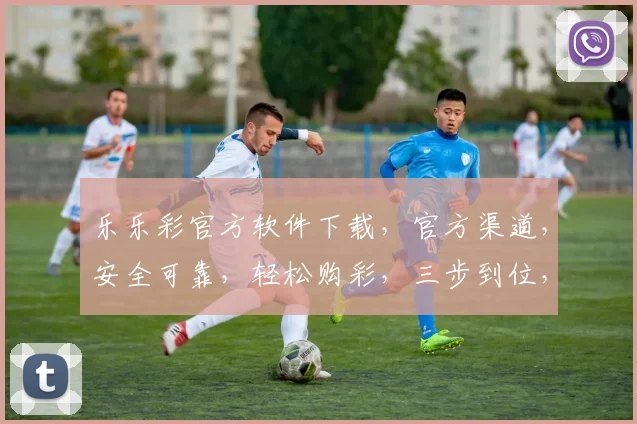 乐乐彩官方软件下载，官方渠道，安全可靠，轻松购彩，三步到位，不容错过